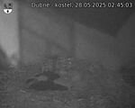 Capi_Dubne_20250528_024503.jpg