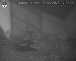 Capi_Dubne_20250528_025502.jpg