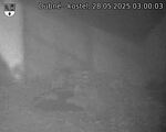 Capi_Dubne_20250528_030003.jpg