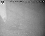Capi_Dubne_20250528_030503.jpg