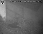 Capi_Dubne_20250528_033002.jpg