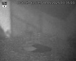 Capi_Dubne_20250528_033503.jpg