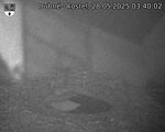 Capi_Dubne_20250528_034002.jpg