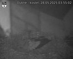 Capi_Dubne_20250528_035502.jpg