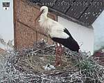 Capi_Dubne_20250528_065003.jpg