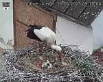 Capi_Dubne_20250528_091004.jpg