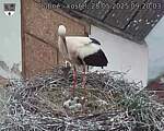 Capi_Dubne_20250528_092003.jpg