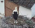 Capi_Dubne_20250528_093504.jpg