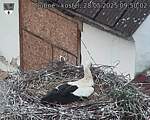 Capi_Dubne_20250528_095002.jpg