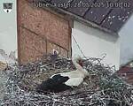 Capi_Dubne_20250528_100002.jpg