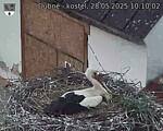 Capi_Dubne_20250528_101002.jpg