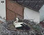 Capi_Dubne_20250528_103002.jpg