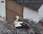 Capi_Dubne_20250528_104004.jpg