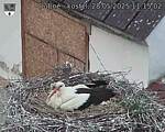 Capi_Dubne_20250528_111502.jpg
