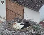 Capi_Dubne_20250528_112004.jpg