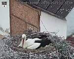 Capi_Dubne_20250528_113004.jpg