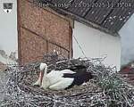 Capi_Dubne_20250528_113504.jpg
