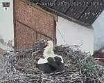 Capi_Dubne_20250528_121004.jpg