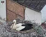 Capi_Dubne_20250528_122503.jpg