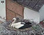 Capi_Dubne_20250528_123503.jpg