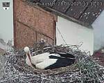 Capi_Dubne_20250528_131003.jpg