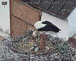 Capi_Dubne_20250528_131502.jpg