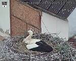 Capi_Dubne_20250528_133503.jpg