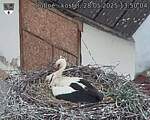 Capi_Dubne_20250528_135004.jpg