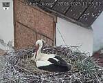 Capi_Dubne_20250528_135502.jpg