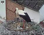 Capi_Dubne_20250528_140004.jpg