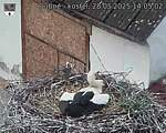 Capi_Dubne_20250528_140502.jpg
