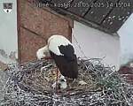 Capi_Dubne_20250528_141504.jpg