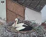 Capi_Dubne_20250528_142503.jpg