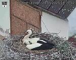 Capi_Dubne_20250528_143502.jpg