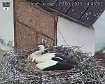 Capi_Dubne_20250528_144502.jpg