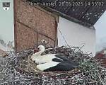 Capi_Dubne_20250528_145502.jpg