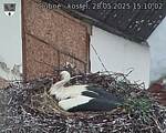 Capi_Dubne_20250528_151002.jpg