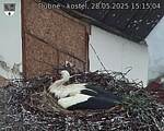Capi_Dubne_20250528_151504.jpg