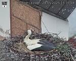Capi_Dubne_20250528_153504.jpg