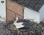 Capi_Dubne_20250528_155502.jpg