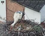 Capi_Dubne_20250528_160004.jpg