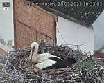 Capi_Dubne_20250528_163503.jpg