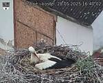 Capi_Dubne_20250528_164002.jpg