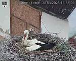 Capi_Dubne_20250528_165503.jpg