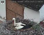Capi_Dubne_20250528_170002.jpg