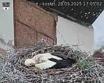 Capi_Dubne_20250528_170502.jpg