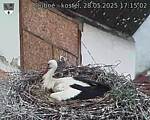 Capi_Dubne_20250528_171502.jpg