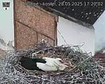 Capi_Dubne_20250528_172002.jpg