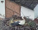Capi_Dubne_20250528_173504.jpg