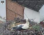 Capi_Dubne_20250528_174002.jpg